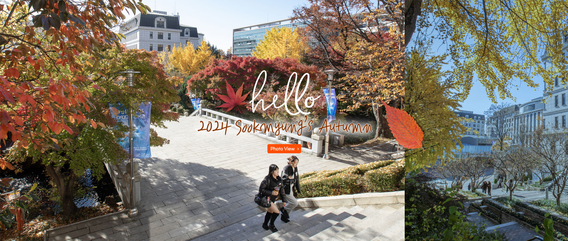 2024 Sookmyung's Autumn